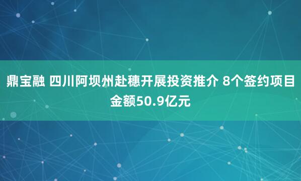鼎宝融 四川阿坝州赴穗开展投资推介 8个签约项目金额50.9亿元