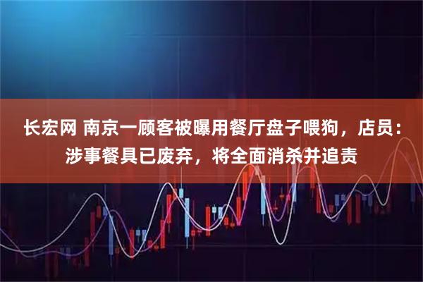 长宏网 南京一顾客被曝用餐厅盘子喂狗，店员：涉事餐具已废弃，将全面消杀并追责
