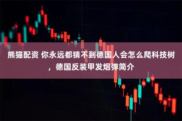 熊猫配资 你永远都猜不到德国人会怎么爬科技树，德国反装甲发烟弹简介