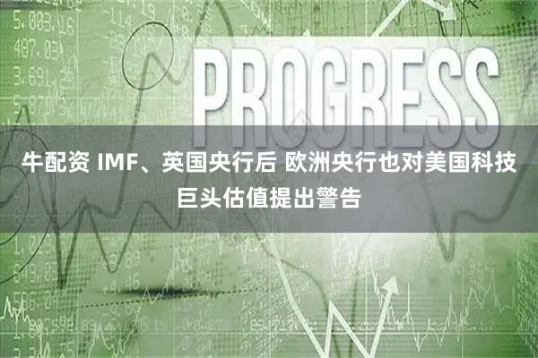 牛配资 IMF、英国央行后 欧洲央行也对美国科技巨头估值提出警告