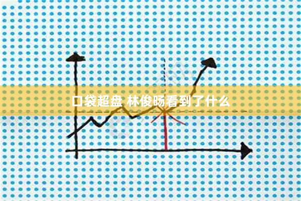 口袋超盘 林俊旸看到了什么